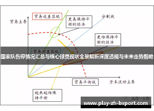 国家队伤停情况汇总与核心球员现状全景解析深度透视与未来走势前瞻