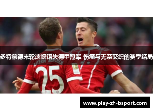 多特蒙德末轮遗憾错失德甲冠军 伤痛与无奈交织的赛季结局