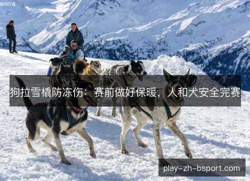 狗拉雪橇防冻伤：赛前做好保暖，人和犬安全完赛